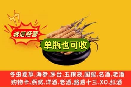大通区回收虫草